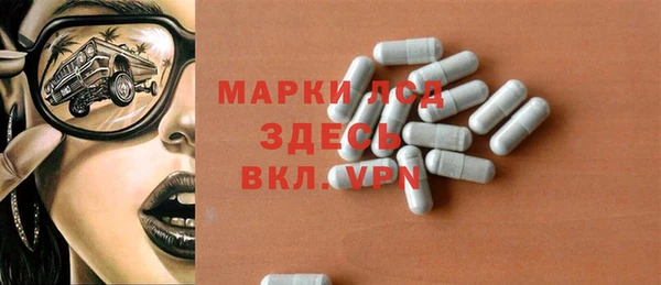 шишки Горно-Алтайск