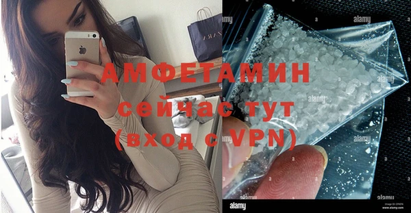 шишки Горно-Алтайск