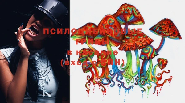 шишки Горно-Алтайск