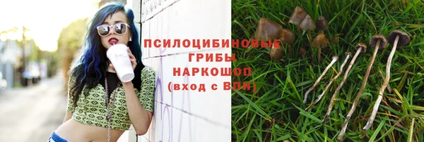 ALPHA PVP Гусиноозёрск