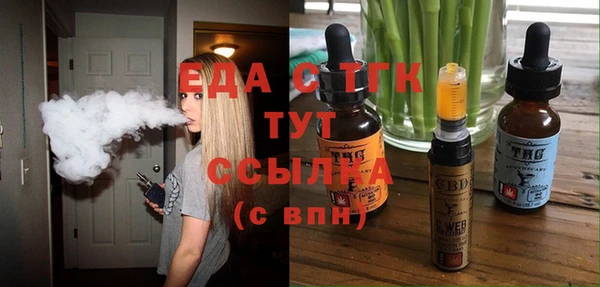 шишки Горно-Алтайск